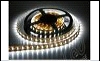 С/д лента 3528-240-19.2-12V-IP20-5m   COOL WHITE  (на белом основании, LED Epistar). Цвет свечения: ХОЛОДНЫЙ БЕЛЫЙ 6000К. 