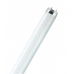 ЛЛ   T8/G13  18 Вт 6400К  PHILIPS 765